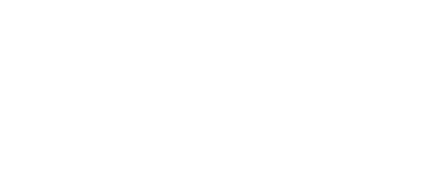 Áridos Capital